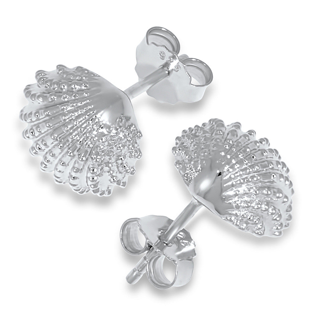 Herzmuschel Ohrstecker